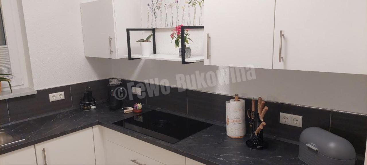 Fewo Bukowina Waldshut-Tiengen Ngoại thất bức ảnh
