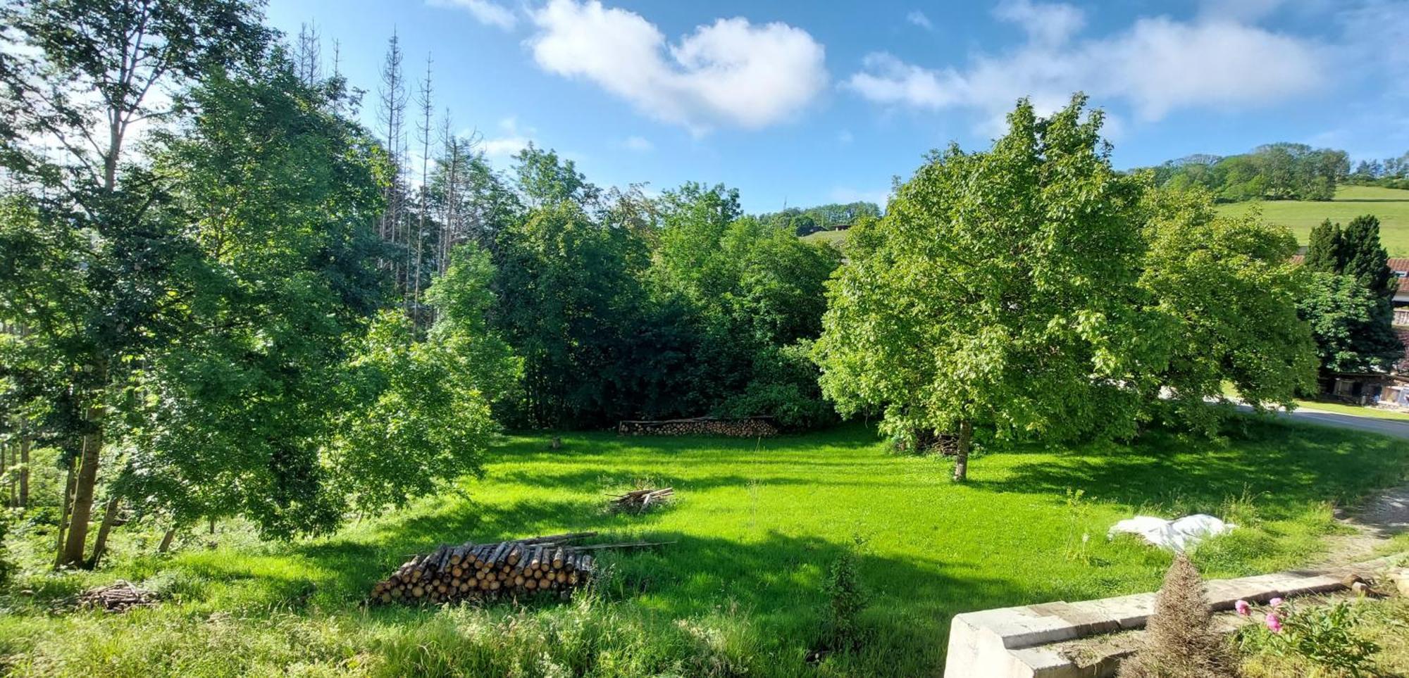 Fewo Bukowina Waldshut-Tiengen Ngoại thất bức ảnh